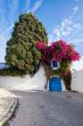 Sidi Bou Said, Tunisia, Africa. A picturesque doorway in town. Art Print